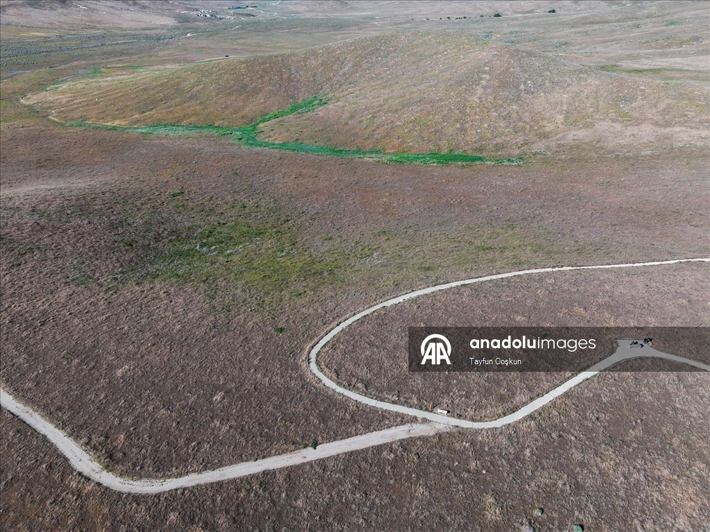 Sıcak hava dalgası Antelope Valley’de gelincik sezonunu erken bitiriyor