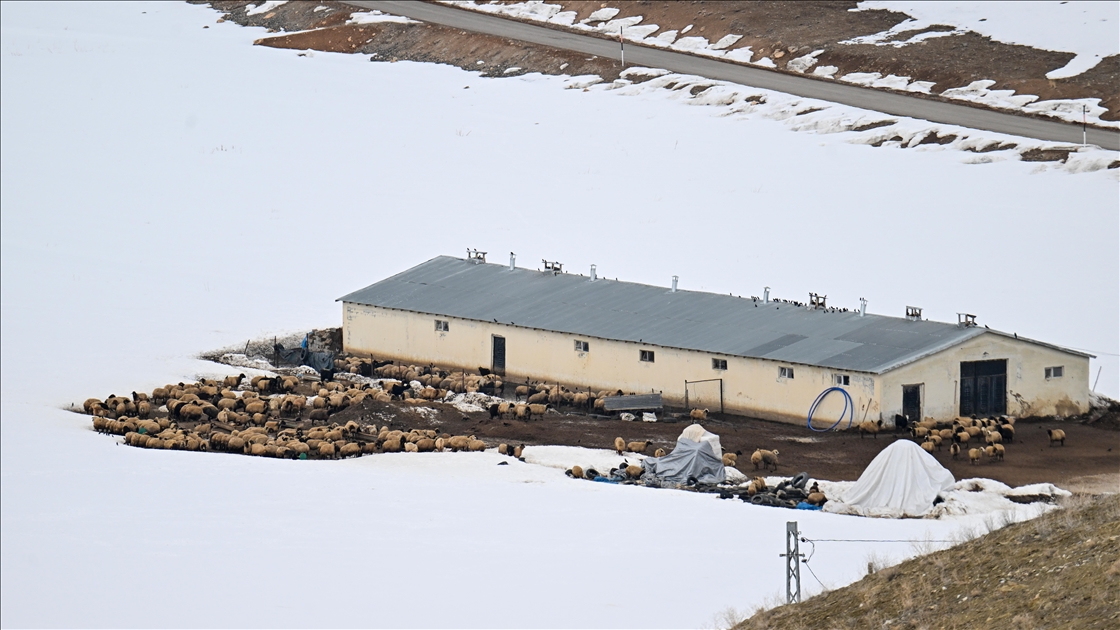 Van'ın kırsal mahallelerinde baharda da karla mücadele sürüyor