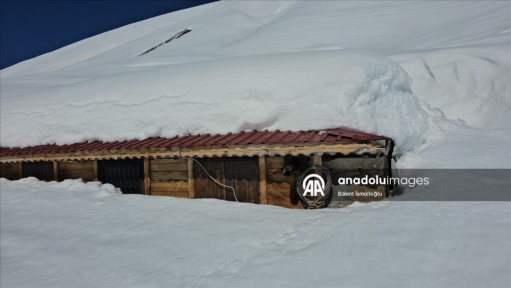 Rize'de karlar altında kalan yayla evleri havadan görüntülendi