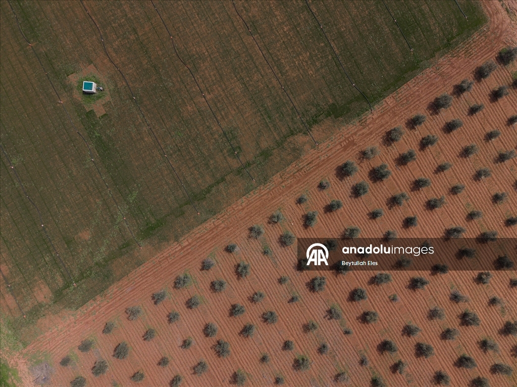 Gaziantep’te Barak Ovası’nda çiftçilerin mesaisi yeniden başladı