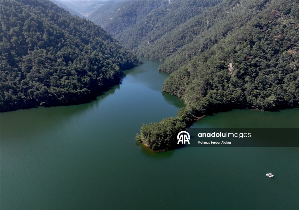 İzmir'de kritik seviyeleri gören barajlardaki su miktarı yağışlarla güçlendi