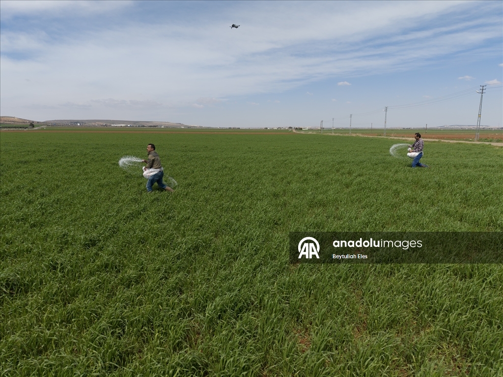 Gaziantep’te Barak Ovası’nda çiftçilerin mesaisi yeniden başladı