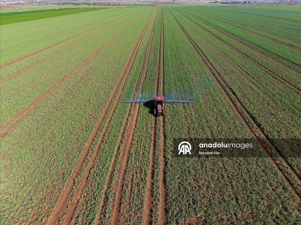 Gaziantep’te Barak Ovası’nda çiftçilerin mesaisi yeniden başladı
