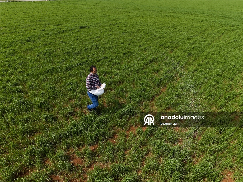 Gaziantep’te Barak Ovası’nda çiftçilerin mesaisi yeniden başladı