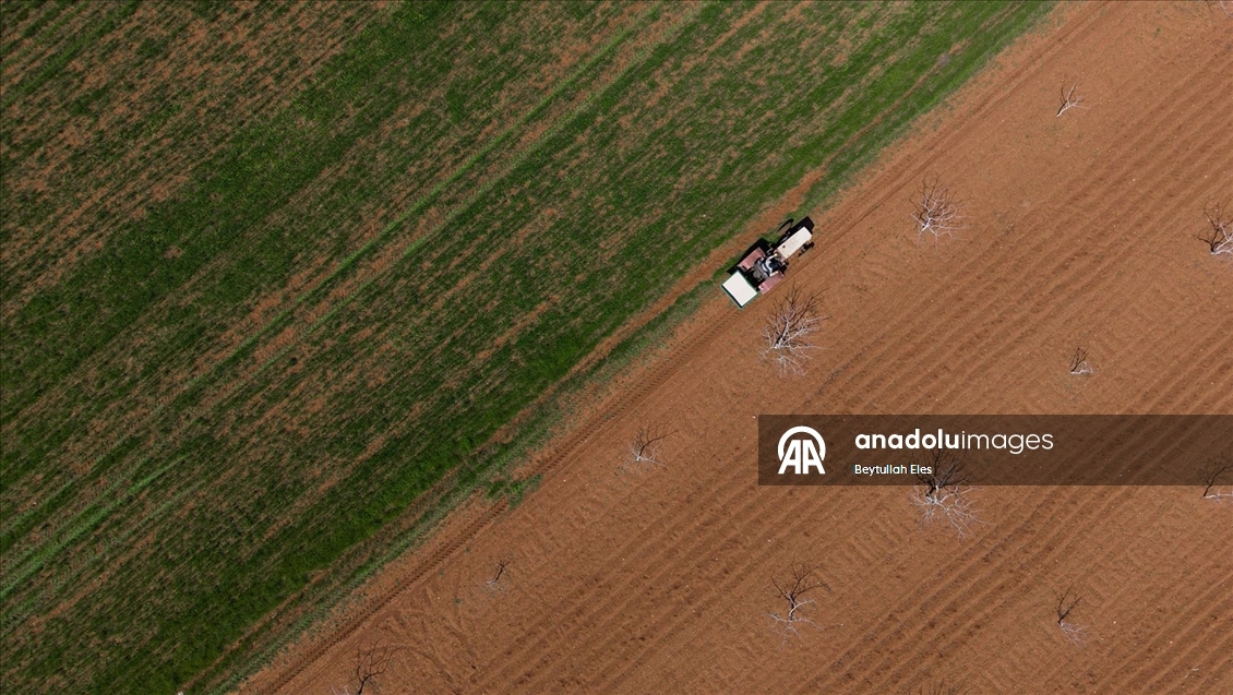 Gaziantep’te Barak Ovası’nda çiftçilerin mesaisi yeniden başladı