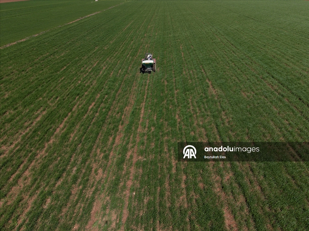 Gaziantep’te Barak Ovası’nda çiftçilerin mesaisi yeniden başladı