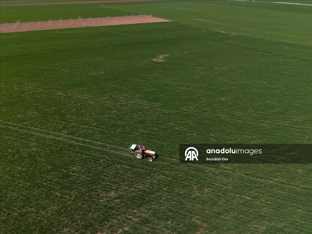 Gaziantep’te Barak Ovası’nda çiftçilerin mesaisi yeniden başladı