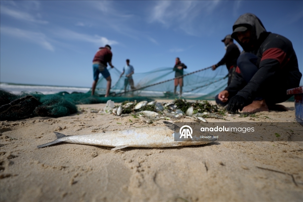 Палестинские рыбаки в Газе продолжают заниматься своим опасным промыслом, несмотря на угрозы 5