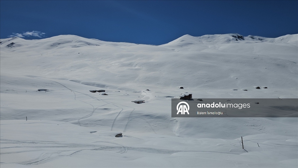 Rize'de karlar altında kalan yayla evleri havadan görüntülendi