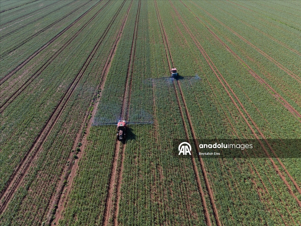 Gaziantep’te Barak Ovası’nda çiftçilerin mesaisi yeniden başladı