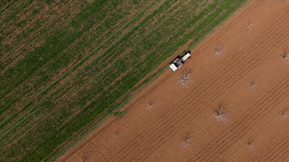 Gaziantep’te Barak Ovası’nda çiftçilerin mesaisi yeniden başladı