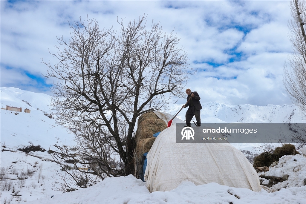 Hakkari'nin bir tarafında bahar bir tarafında kış yaşanıyor