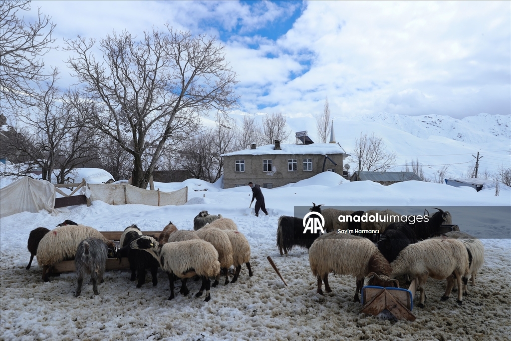Hakkari'nin bir tarafında bahar bir tarafında kış yaşanıyor
