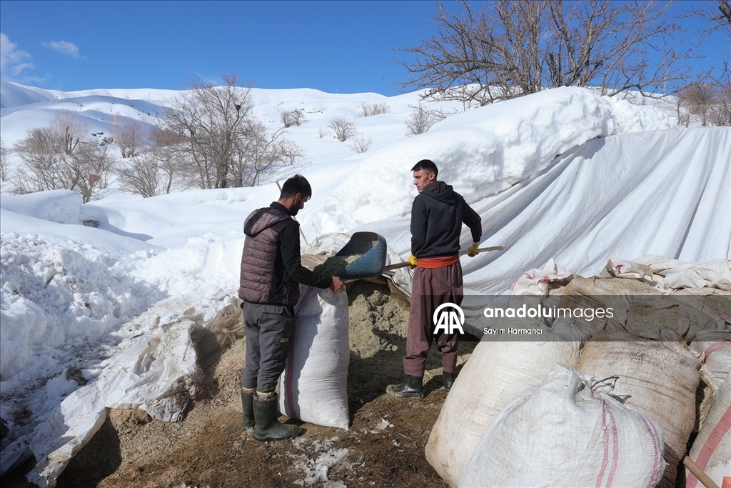 Hakkari'nin bir tarafında bahar bir tarafında kış yaşanıyor