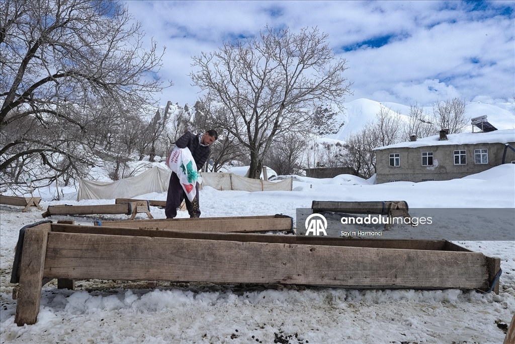 Hakkari'nin bir tarafında bahar bir tarafında kış yaşanıyor