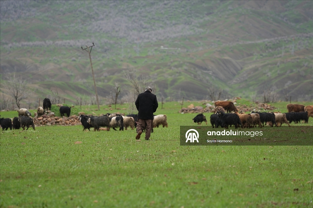 Hakkari'nin bir tarafında bahar bir tarafında kış yaşanıyor