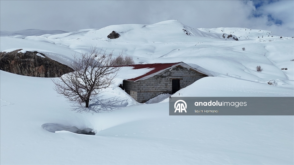 Hakkari'nin bir tarafında bahar bir tarafında kış yaşanıyor