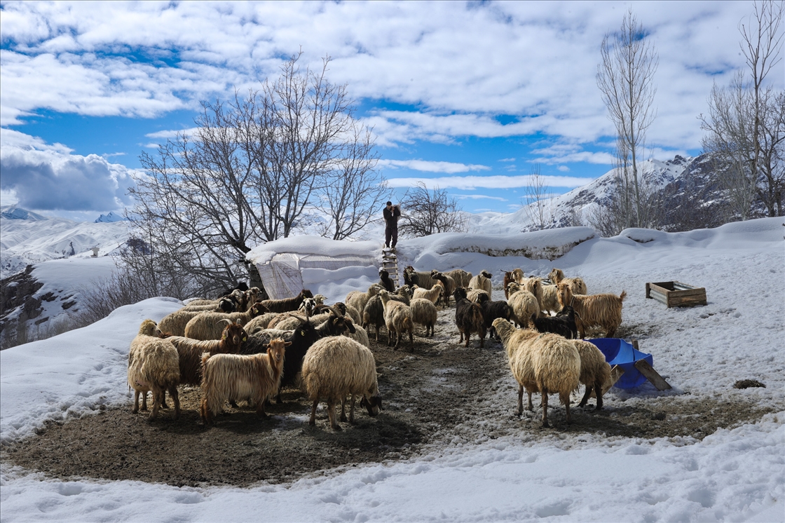 Li Hekariyê li hêlekê bihar li hêla din jî zivistan tê jiyîn