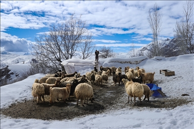 Li Hekariyê li hêlekê bihar li hêla din jî zivistan tê jiyîn