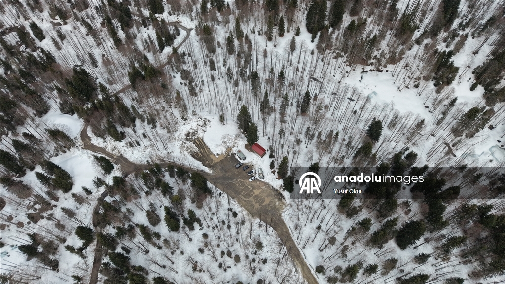 Borçka Karagöl Tabiat Parkı ziyaretçilerini ağırlamaya başladı