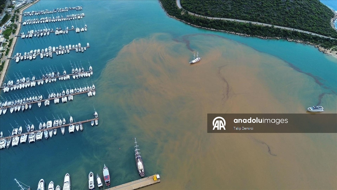 Kaş'ta sağanak sonrası denizin bir kısmı kahverengiye döndü