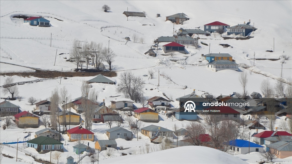 Muş'ta metrelerce karın bulunduğu köylerde yaşayanlar baharı bekliyor