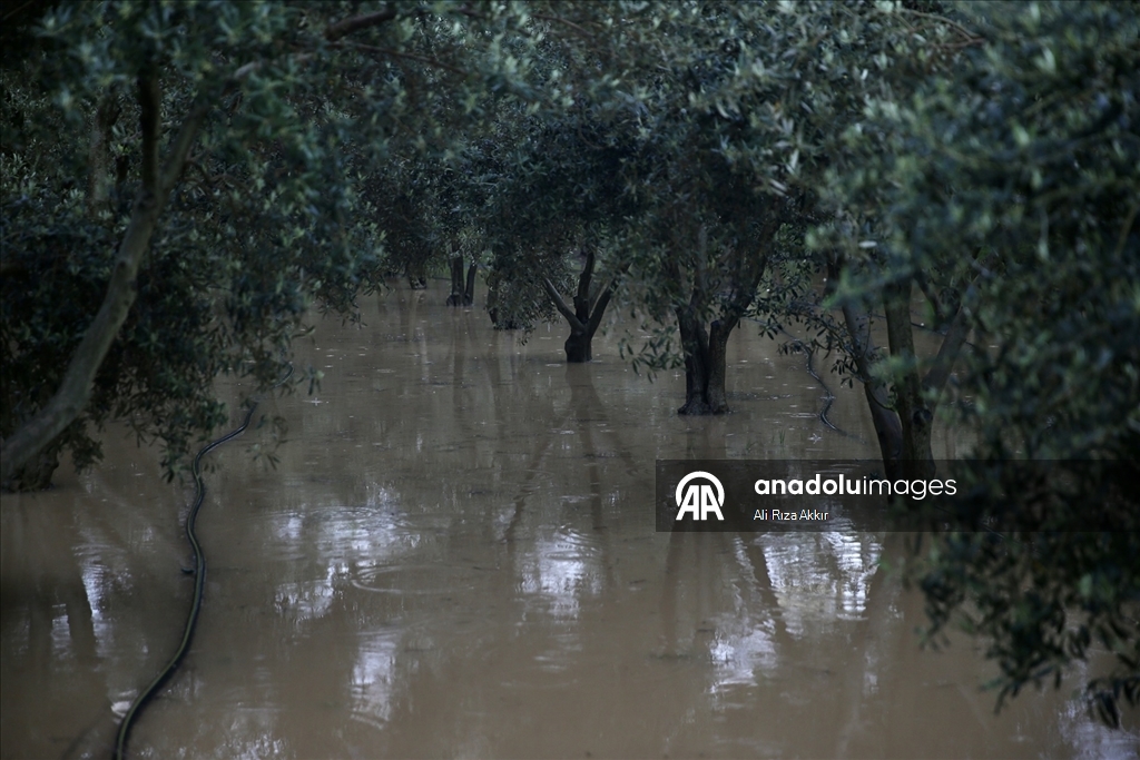Muğla'da kuvvetli yağış hayatı olumsuz etkiliyor