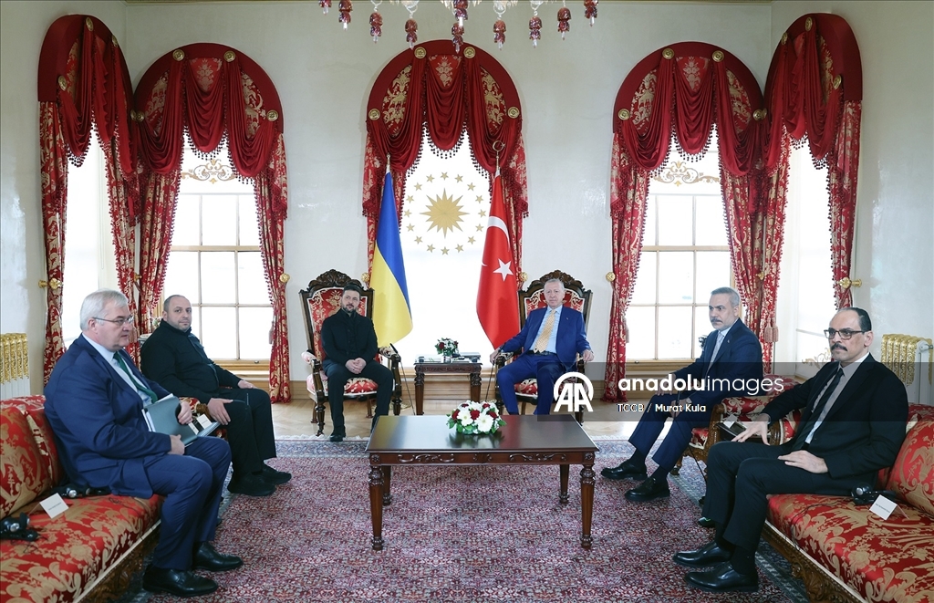 Cumhurbaşkanı Erdoğan, Ukrayna Devlet Başkanı Zelenskiy ile görüştü