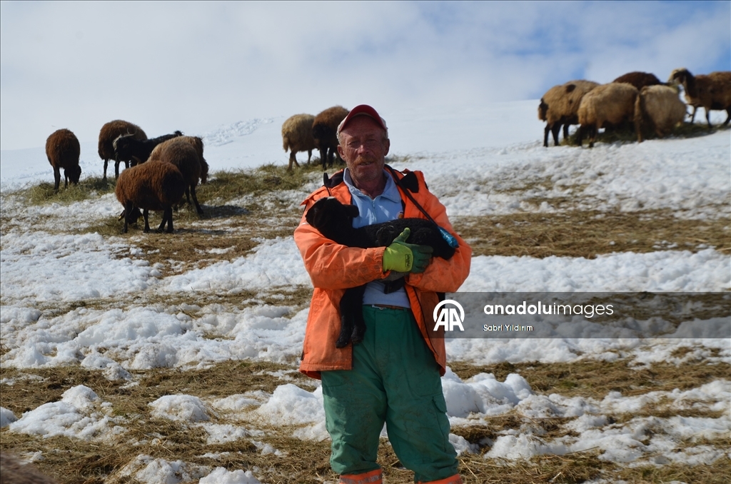 Muş'ta metrelerce karın bulunduğu köylerde yaşayanlar baharı bekliyor