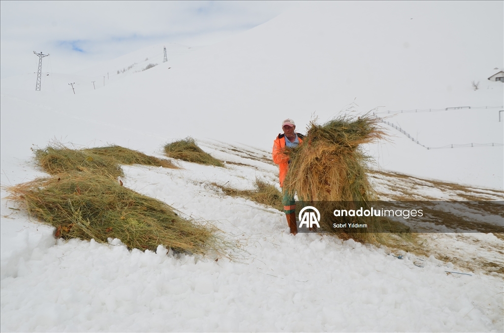Muş'ta metrelerce karın bulunduğu köylerde yaşayanlar baharı bekliyor