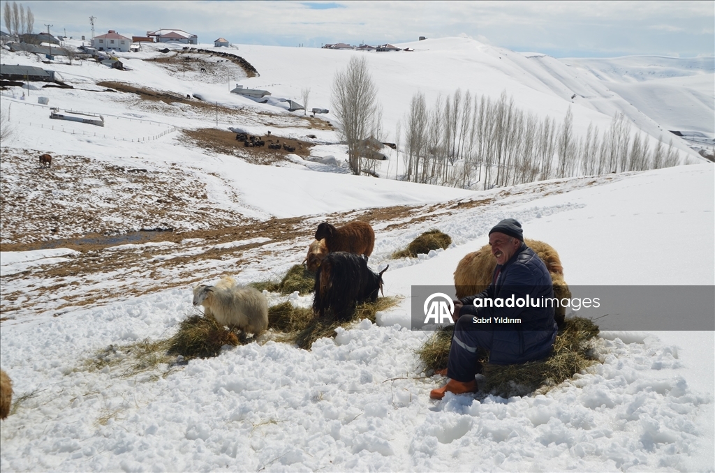 Muş'ta metrelerce karın bulunduğu köylerde yaşayanlar baharı bekliyor