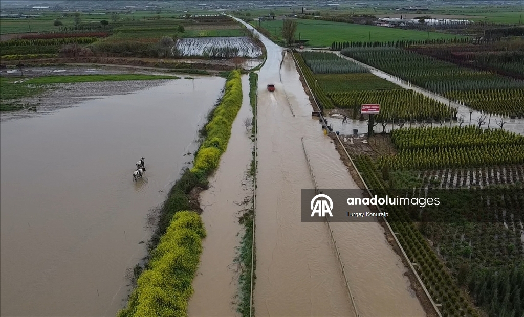 İzmir'de sağanak nedeniyle tarım arazileri ve kara yolu su altında kaldı