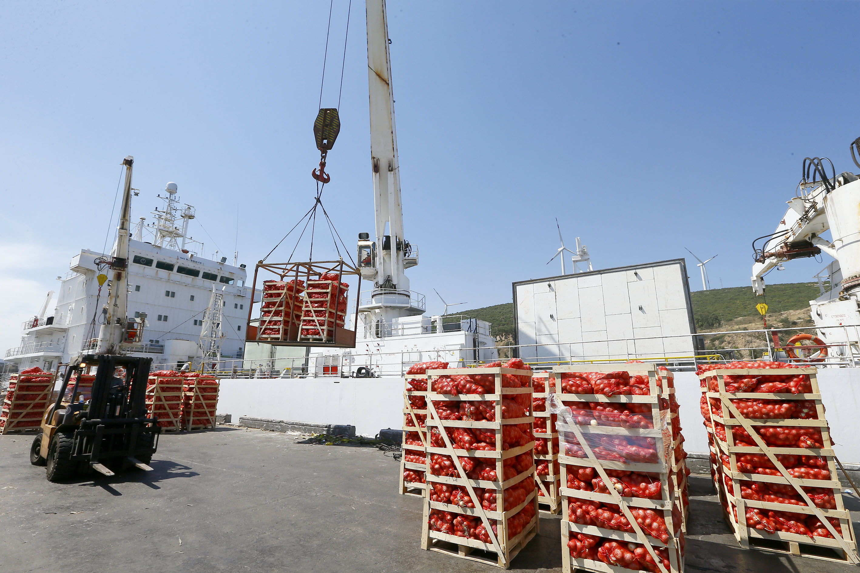 A ship carrying 350 tons. Погрузка продовольствия на корабль. Погрузка фруктов на судно. Погрузка рефрижератора судно. Приём продовольствия на корабль.