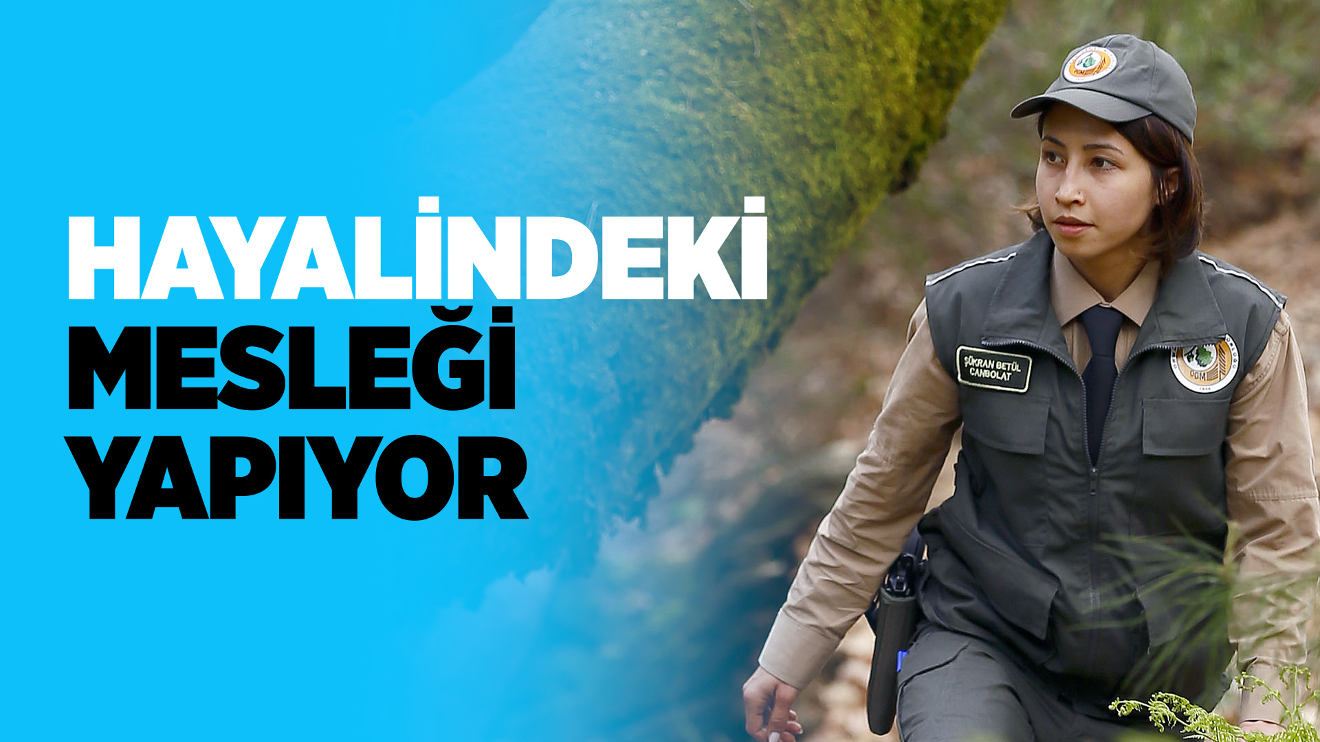 Ormancı mesleği: görevleri Ormancı mesleği: görevleri