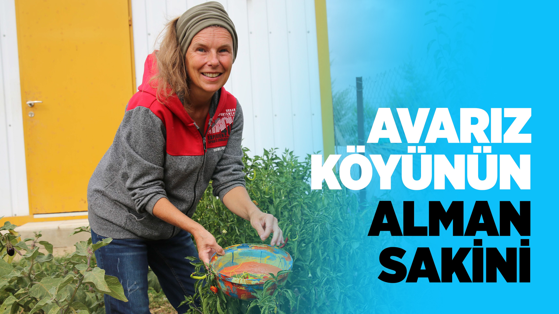 Katkı Monorel. Tanıklıklar, kanıtlar, başvuru 82