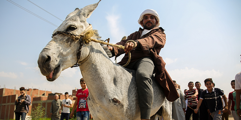 Carrera de burros en Egipto - Agencia Anadolu