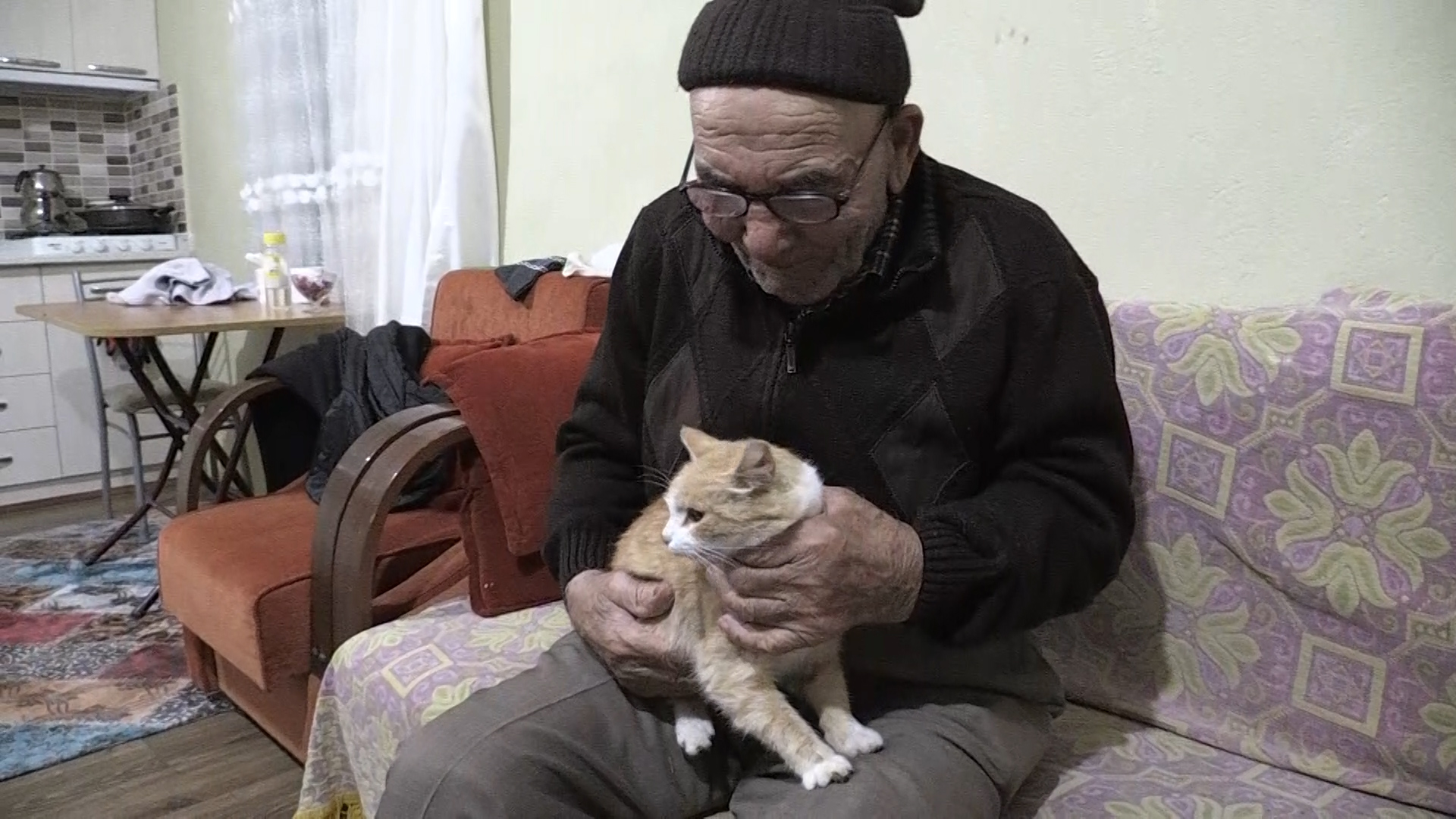 Ali dede yeni evinde kedileriyle mutlu Ali dede yeni evinde kedileriyle mutlu
