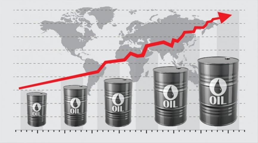 Turkey's crude oil imports increased in February