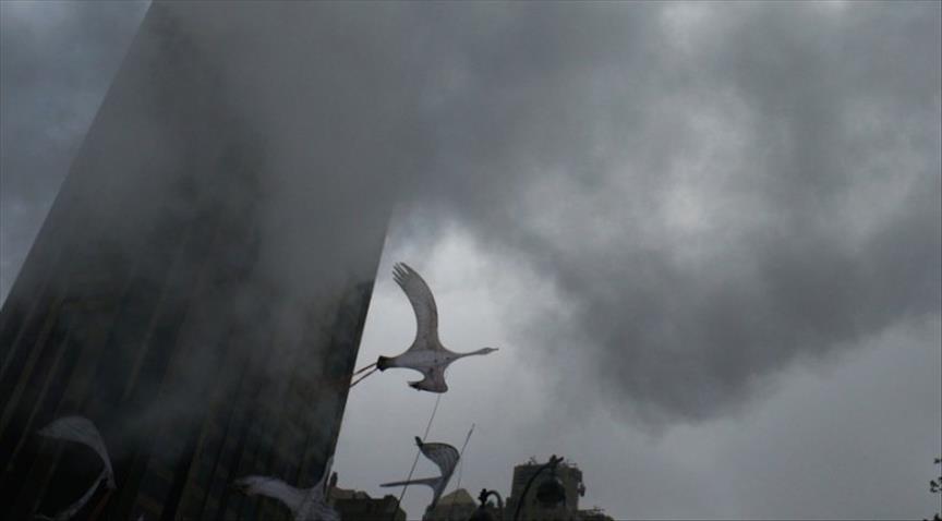 Australia held auction for carbon emissions reduction