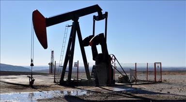 New bid offer opened for Mexico's onshore oil explor.