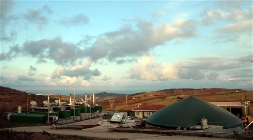 Turkey's largest biomass plant receives pre-licensing