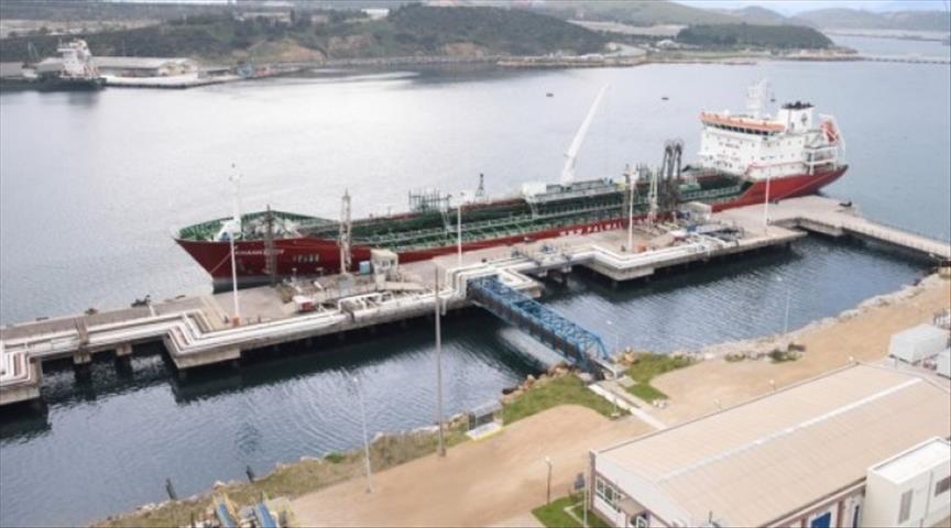 Petkim closes Q2 of 2015 with $68 mln profit