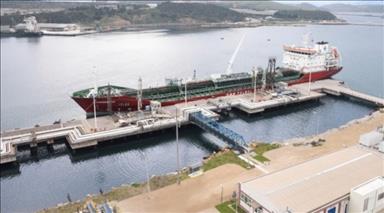 Petkim closes Q2 of 2015 with $68 mln profit