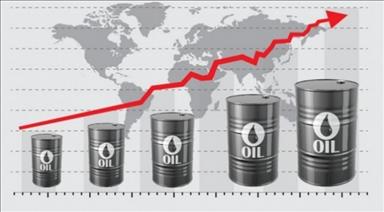 Chinese oil company ups production in 1H15