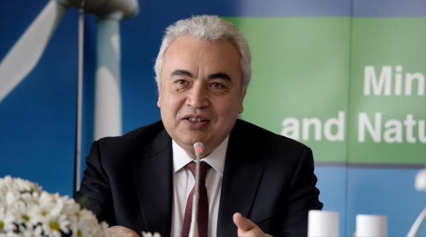 Nuclear energy should be in Turkey's public policy: IEA