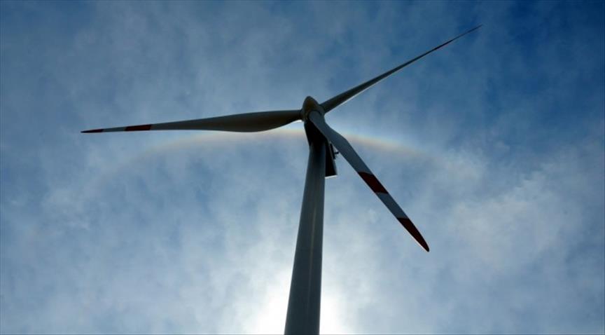Renewables to lead global energy mix in 2020
