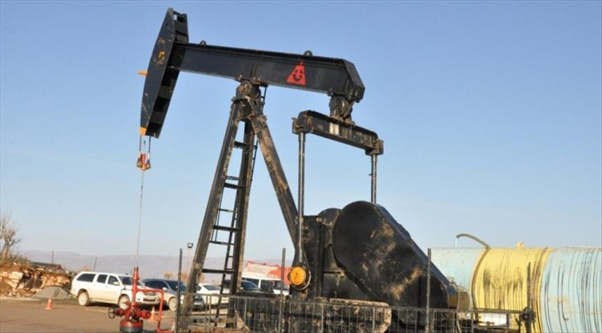 Shell halts project in Canada's Alberta
