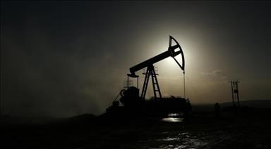 Oil market to rebalance at $80 a barrel in 2020: IEA