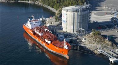 LNG gives natural gas global reach: Cheniere official