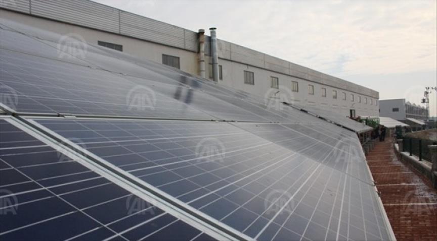 Swedish Vattenfall's first solar starts to generate electricity